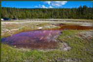 Red pool